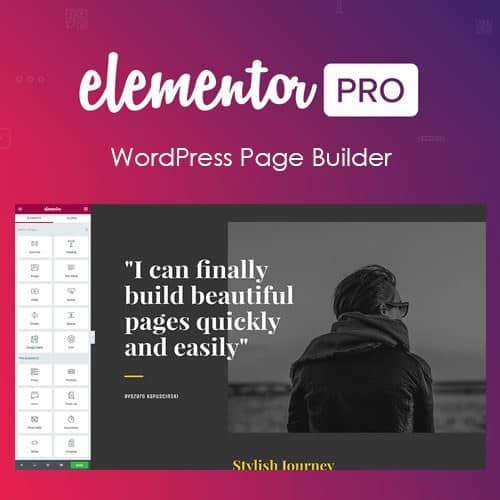 elementor-pro elementor pro